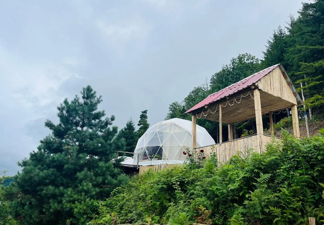 Paradise Inn Gegelidzeebi 0*,