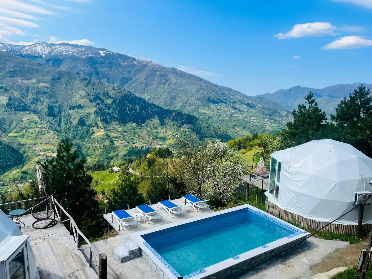 Paradise Inn Gegelidzeebi
